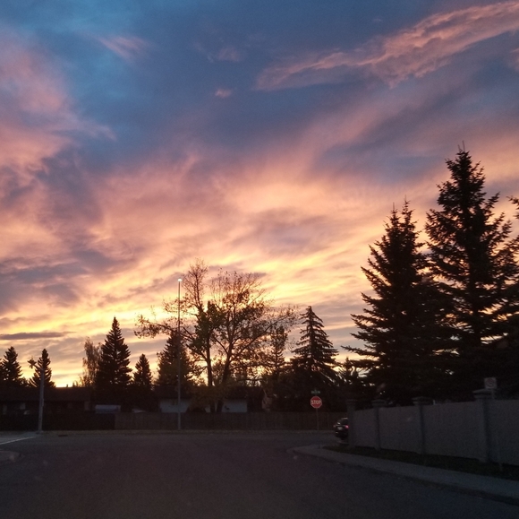 Meet Your Posher, Vanessa - Picture 1 of 1